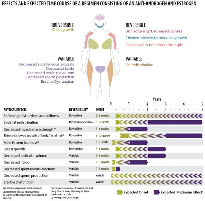 Breast growth during the first year of HRT: what can I expect? - 2pass  Clinic